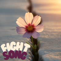 Fight Song - Instrumental cover